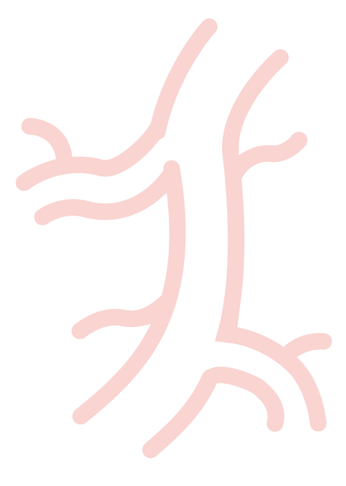 Das Bild zeigt einen Icon einer Vene. Es steht für das angiologische Angebot in der Praxis für Angiologie / die Gefäßmedizin in Düsseldorf