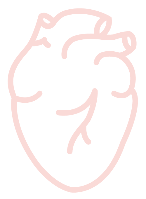 Das Bild zeigt einen Icon eines Herz-Organs. Es steht für das kardiologische Angebot in der Praxis für Kardiologie / die Herzmedizin in Düsseldorf